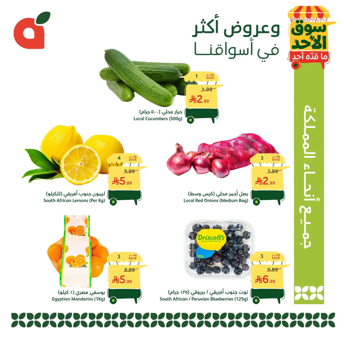 736921296 1029437556731693 1968480424289561360 n تصفح عروض بنده الطازج الاحد 5 يوليو 2026 | 20-1-1448 في جميع فروع المملكة اليوم فقط