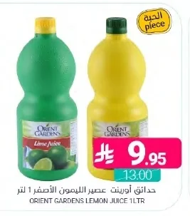 حدائق أورينت عصير الليمون الاصفر