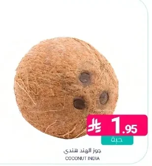COCONUT INDIA