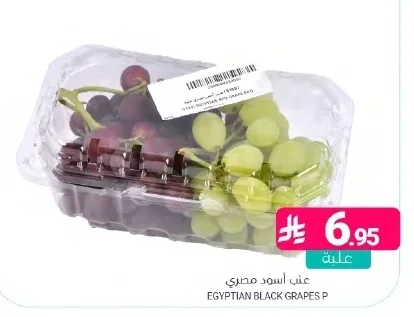 EGYPTIAN BLACK GRAPES P