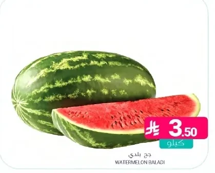 WATERMELON BALADI