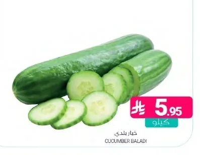 CUCUMBER BALADI