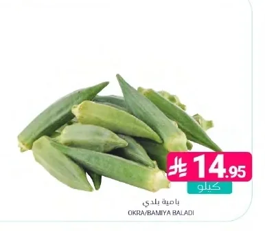OKRA/BAMIYA BALADI