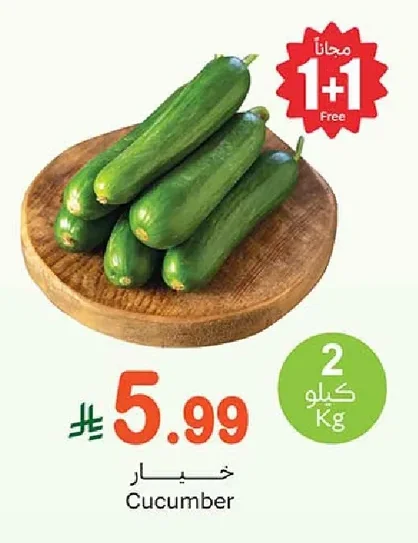 Cucumber