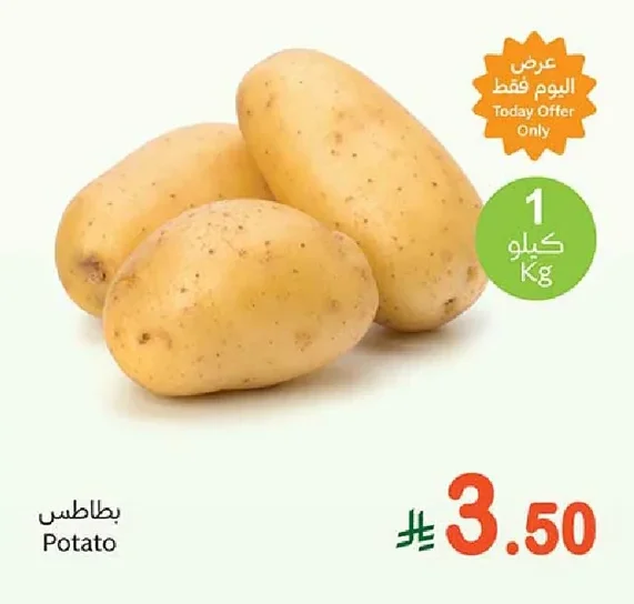 Potato