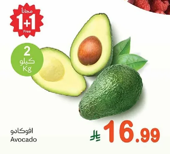 Avocado