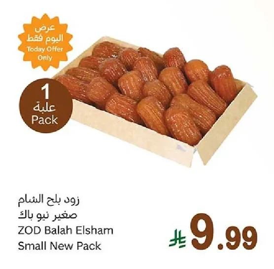 ZOD Balah Elsham Small New Pack