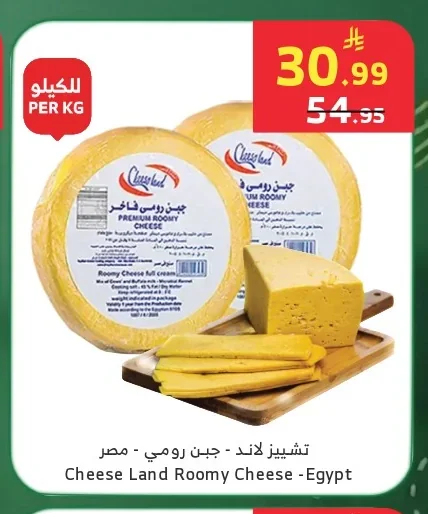 Rumi Cheese