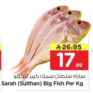 ساره سلطان سمك كبير للكيلو