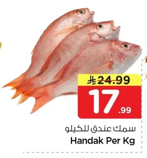 سمك عندق للكيلو