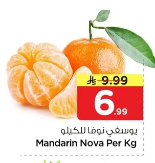 يوسفي نوفا