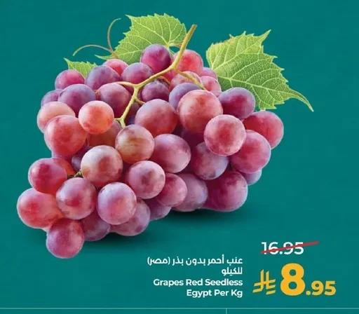 عنب أحمر بدون بذر (مصر)