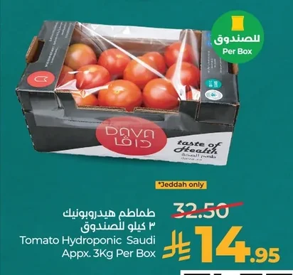طماطم هيدروبونيك