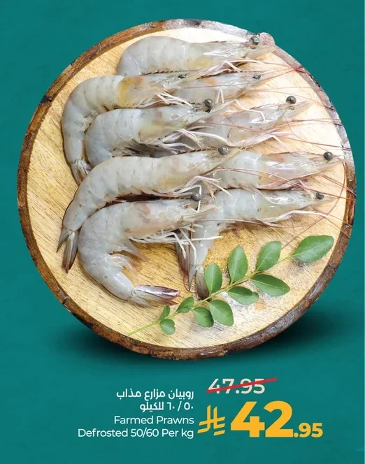 روبيان مزارع مذاب