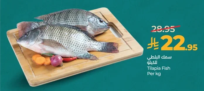 سمك البلطي