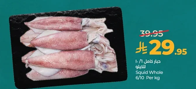 حبار كامل