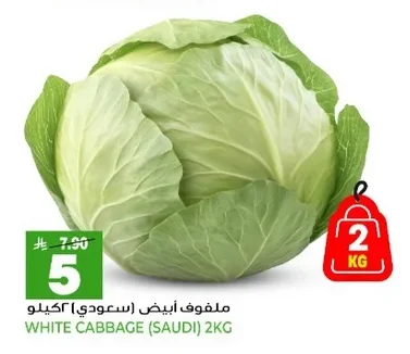 ملفوف أبيض (سعودي)