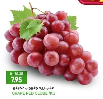 عنب ريد جلوب
