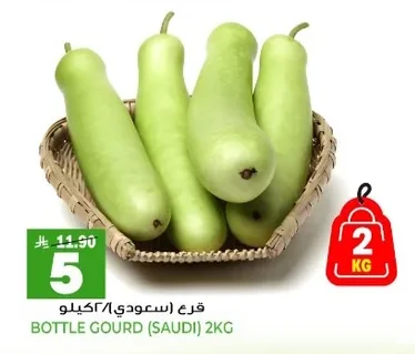 قرع (سعودي)