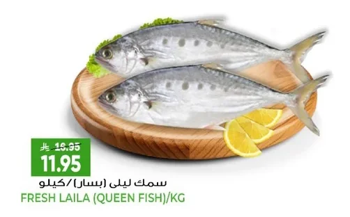 سمك ليلي (ب<bos>ار) / كيلو