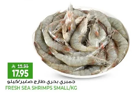 جمبري بحري طازج صغير/كيلو