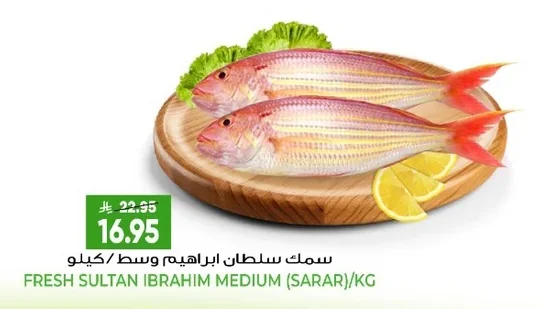 سمك سلطان ابراهيم وسط /كيلو