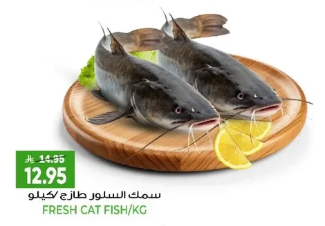 سمك السلور طازج كيلو