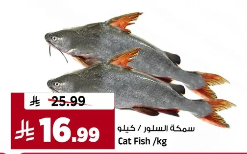 سمكة السلور
