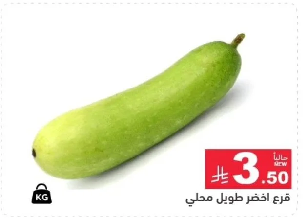 قرع اخضر طويل محلي