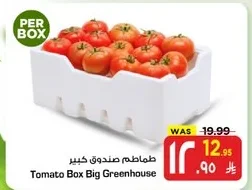 طماطم صندوق كبير