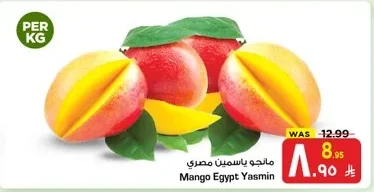 Mango Egypt Yasmin