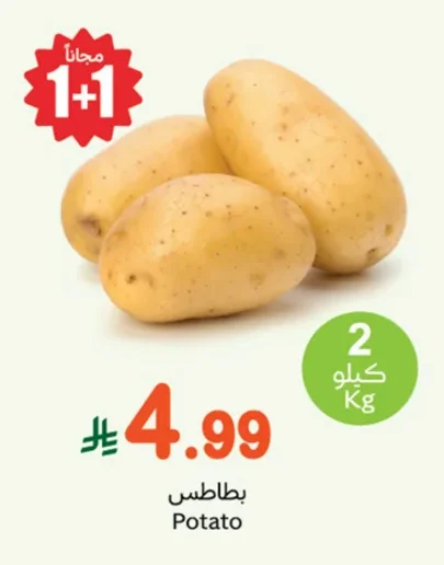 Potato
