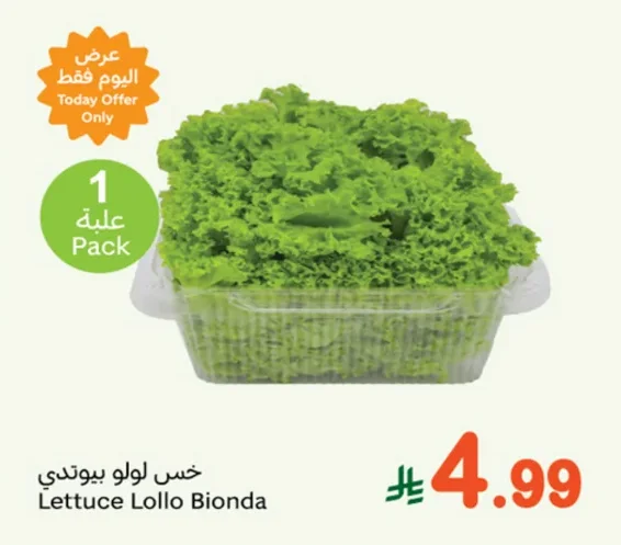 Lettuce Lollo Bionda