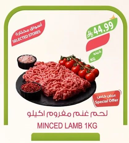 لحم غنم مفروم