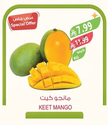 مانجو كيت