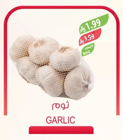 GARLIC