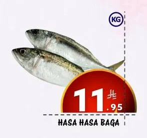 HASA HASA BAGA