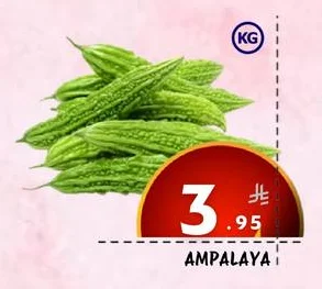AMPALAYA