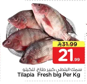 سمك البلطي كبير طازج للكيلو