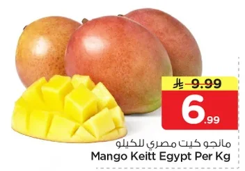 مانجو كيت مصري