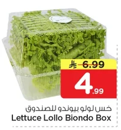 خس لولو بيوندو