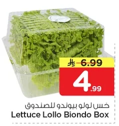 Lettuce Lollo Biondo Box
