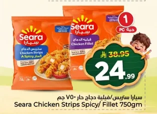 Spicy Chicken Strips/Fillet