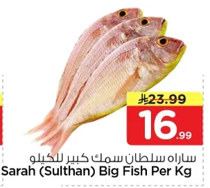 Sarah Big Fish