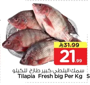 Tilapia Fresh big Per Kg