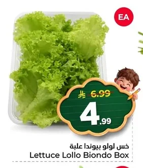 Lettuce Lollo Biondo Box