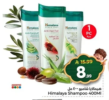 Shampoo