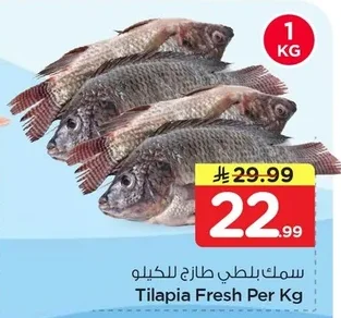 Tilapia Fresh Per Kg