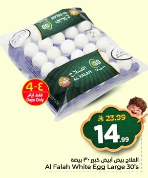 الفلاح بيض أبيض
