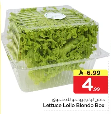 خس لولو بيوندو